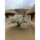 Amanda profile picture