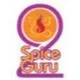 2siceguru.com.au
