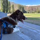 Ben - Atlas