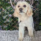 Shirley