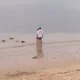 JoB