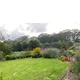 Garden in the mist
