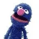 Mr Grover