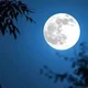 BlueMoon