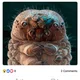nivek