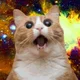 EmziCat