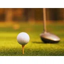 Paul of Mitchelton profile picture