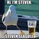 Steveo