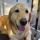 Jenny L.