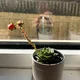 Happy customer