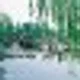 Zhengdong H.