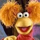 Fraggle R.