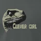 clevergirl
