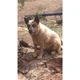 Dermissinglink