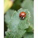 William J profile picture