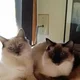 Debbie_H