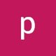pravin p.
