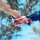 aussie_gal88