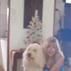 Shirley