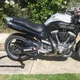 Silverback99