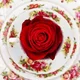 Sam C