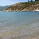 Fordie55
