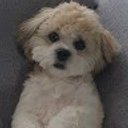 Elle Y. profile picture