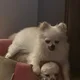 Nick