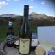 msredwine