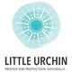 Little Urchin