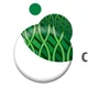 Credit Repair Australia