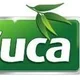 Euca