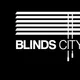 Blinds City