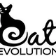 Cat Evolution