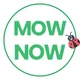 Mow Now