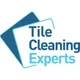 Tile Cleaning Experts