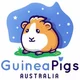 Guinea Pigs Australia