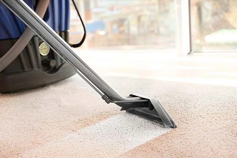 Carpet steam cleaner