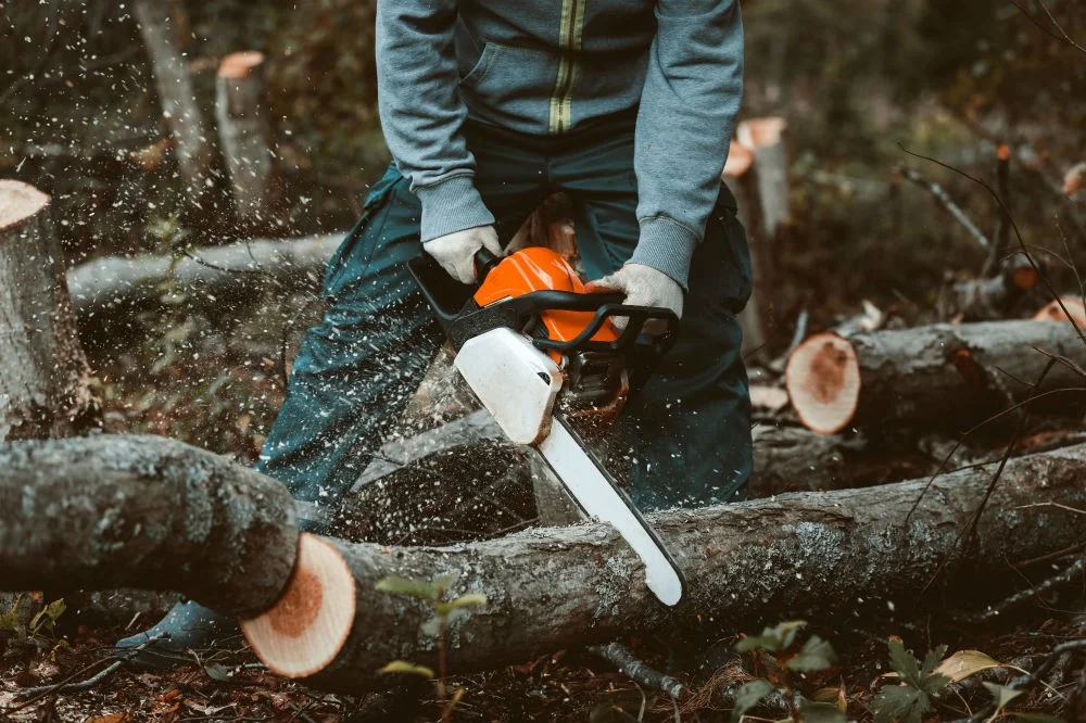 Best Petrol Chainsaws in 2024 as reviewed by Australian consumers