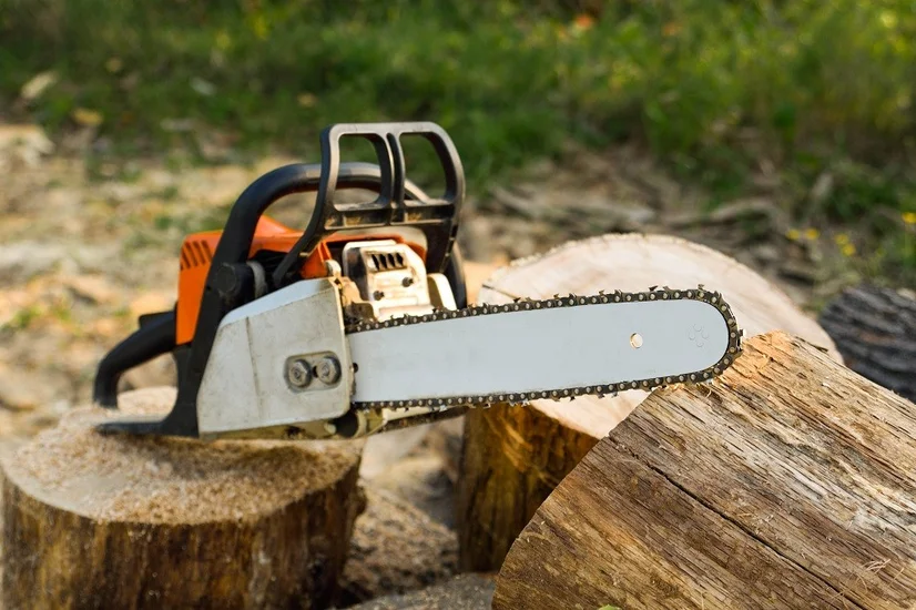Best Battery Chainsaws in 2024 as reviewed by Australian consumers