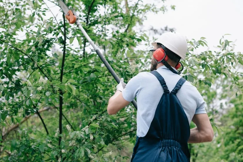 Man using a pole saw