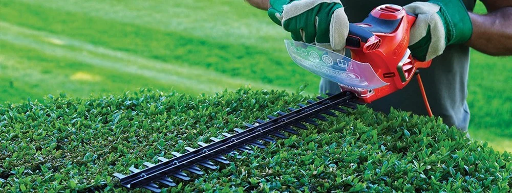 Honda hedge deals trimmer bunnings