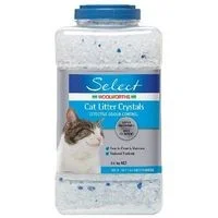 big w crystal cat litter