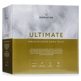 Downtime Ultimate