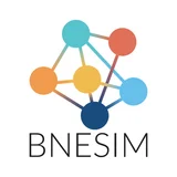 BNESIM
