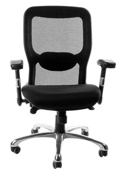 Matt Blatt Fully Ergonomic Office reviews ProductReview