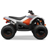 CF Moto CForce EV110