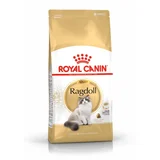 Royal Canin Ragdoll Adult Cat Dry Food