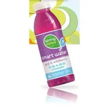 Spring Valley Smart Water Goji & Wildberry
