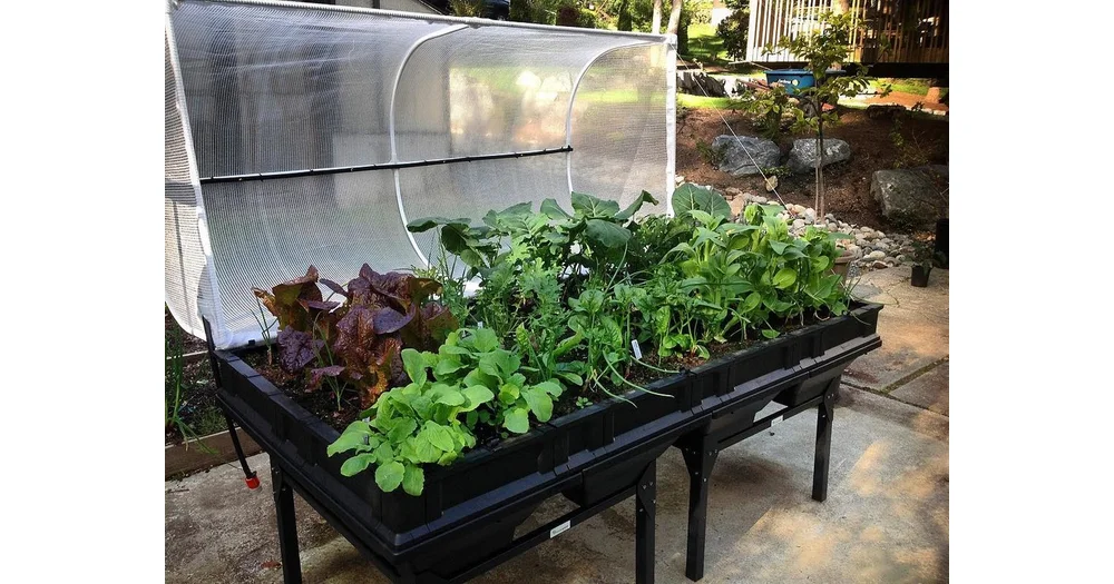 Vegepod Raised Garden Bed Kits Productreview Com Au